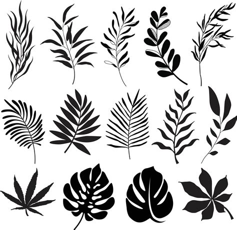 leaf vector illustrator|leaf illustration vector.